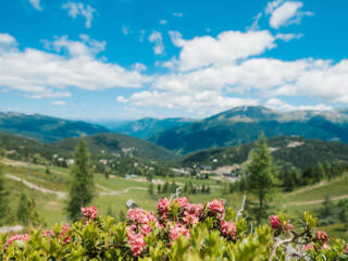 Turrach-Juni-56 ©WEKNOWMEDIA